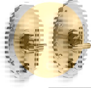 Single Handle Pressure Balancing Valve Trim in Vibrant Brushed Moderne Brass